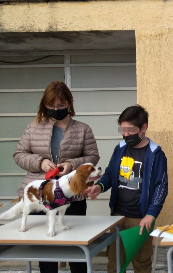 Foto_cagnolino