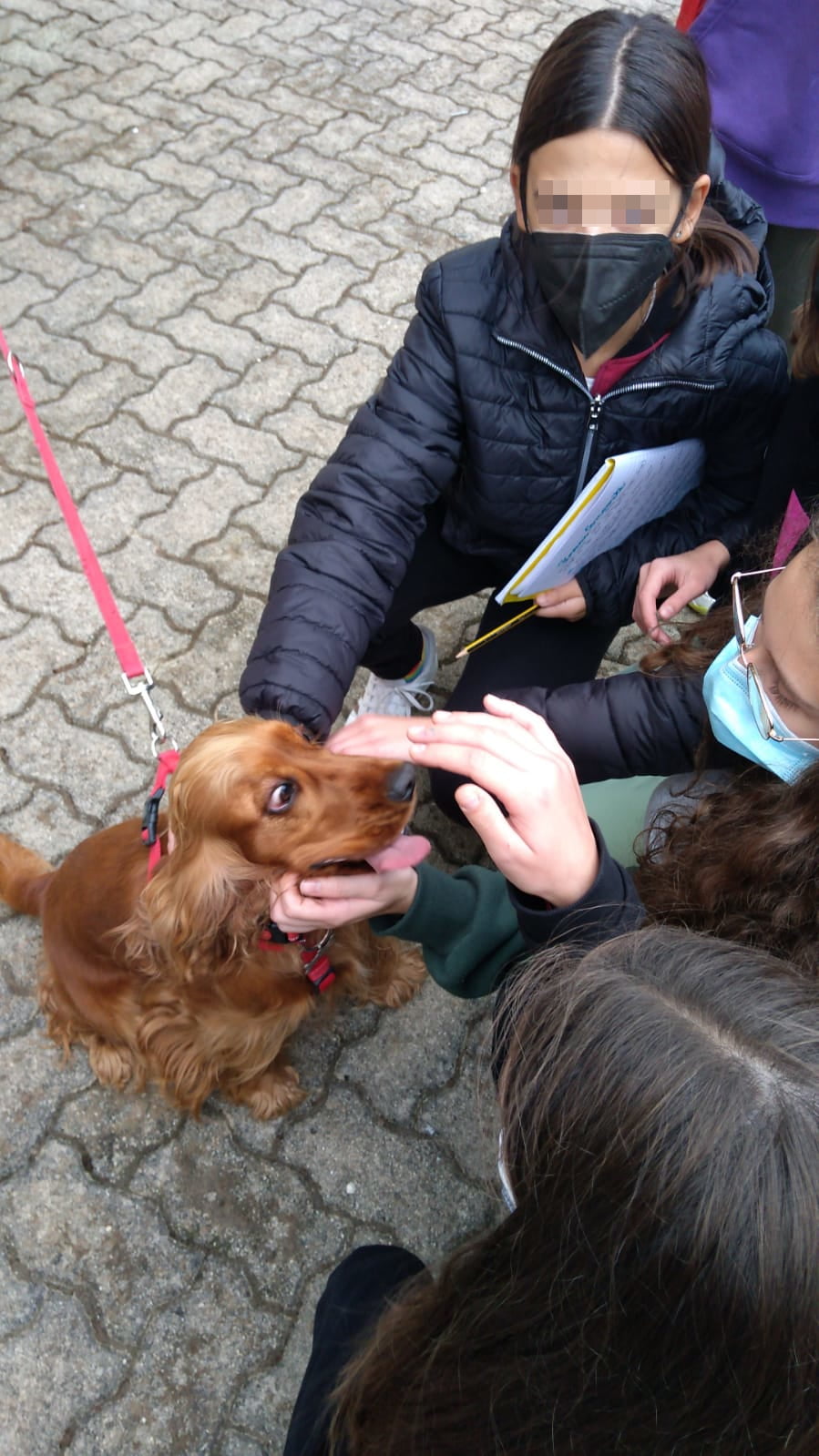 IMG-20211014-WA0012
