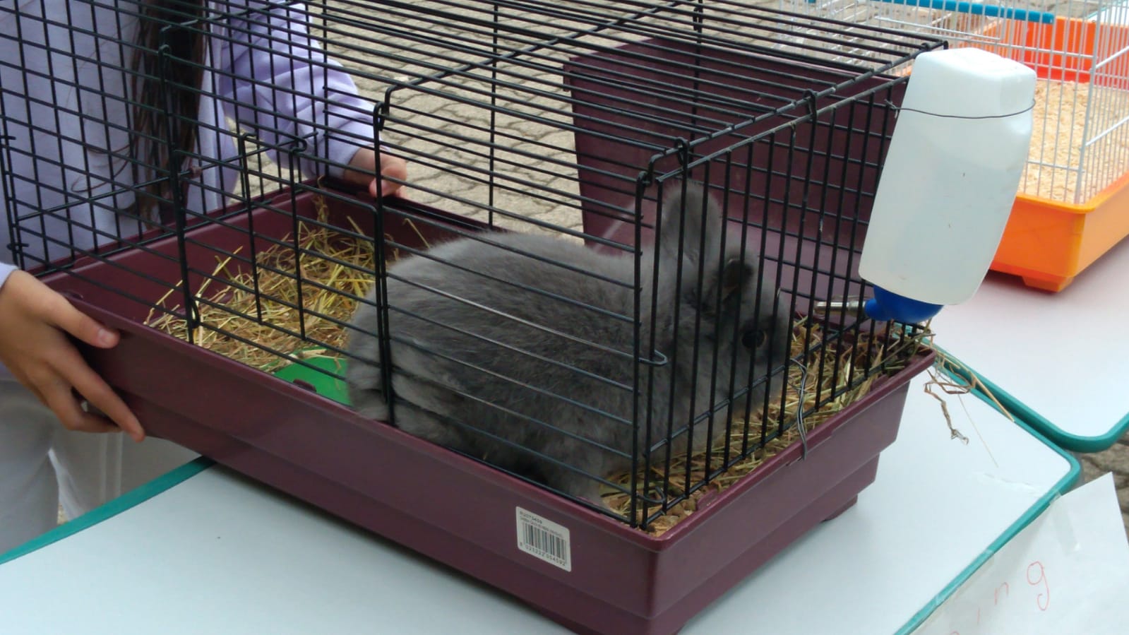 IMG-20211014-WA0022