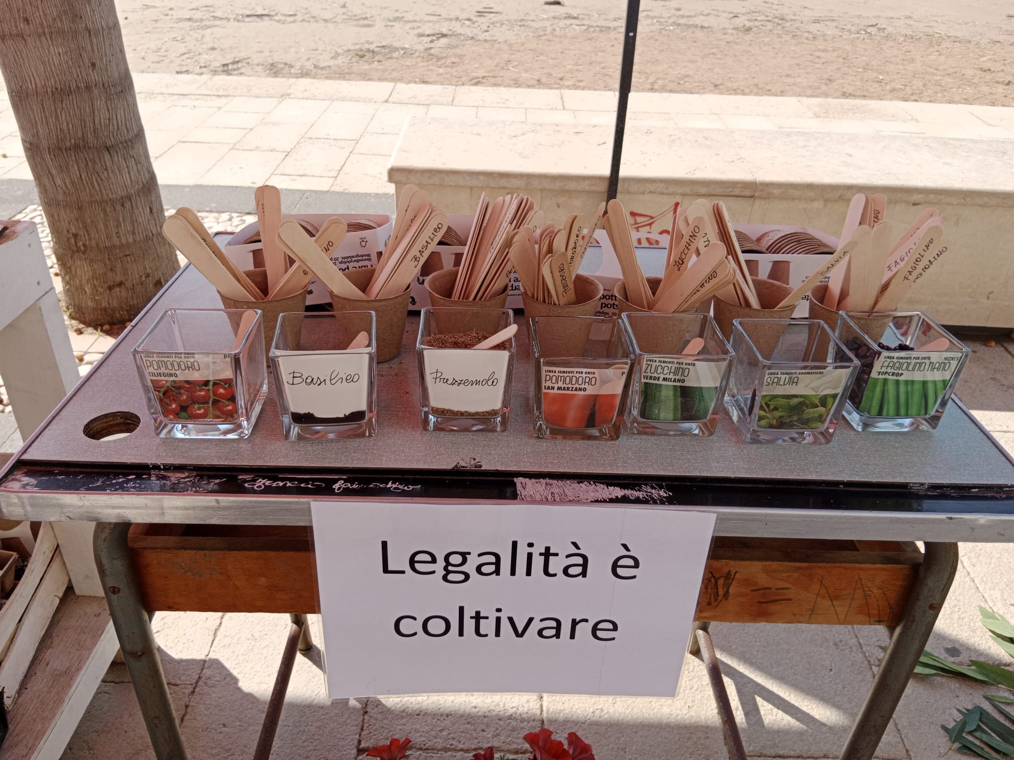 21032023_-_Marina_di_Ragusa_9