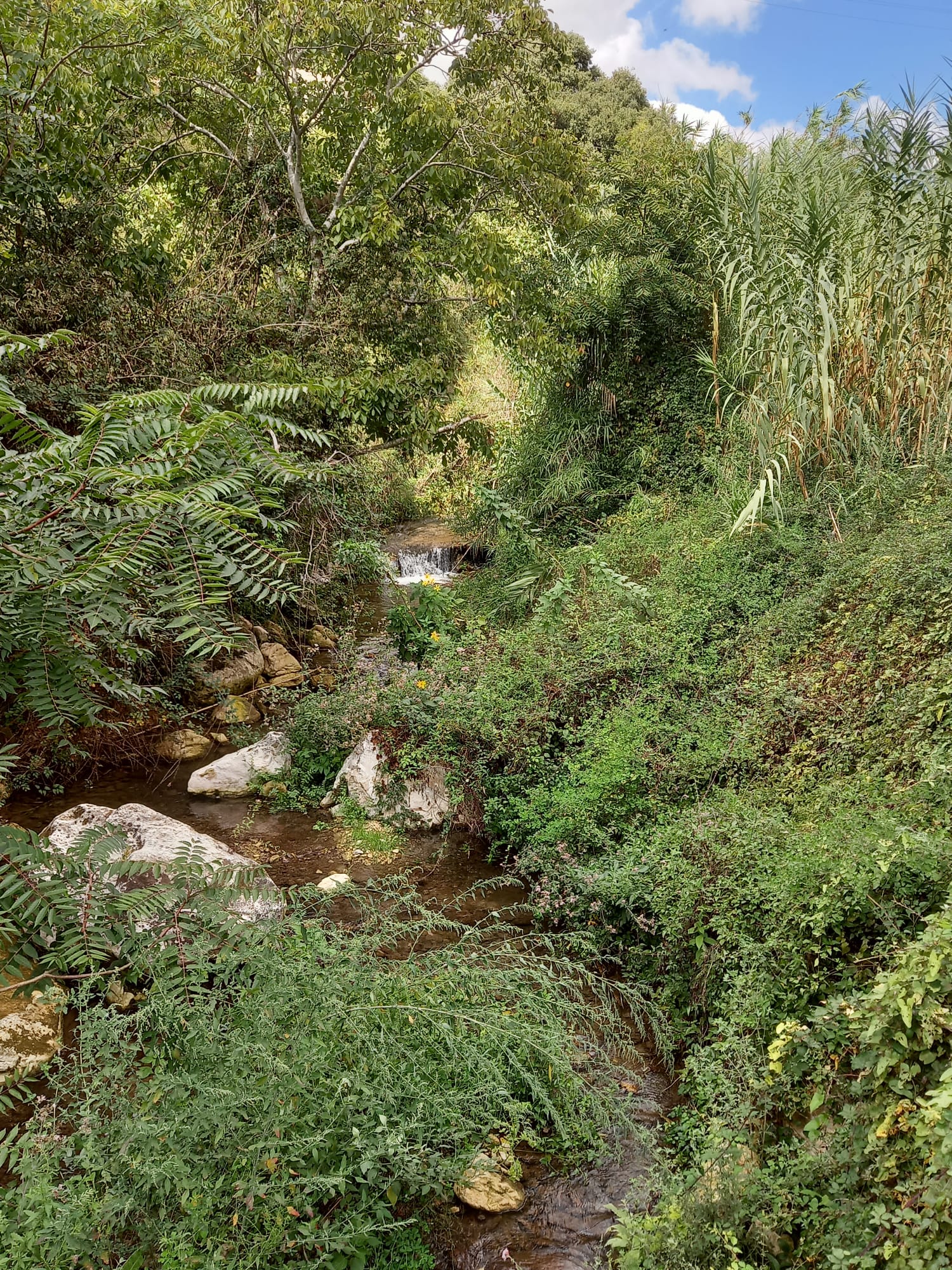 escursione cava san leonardo (1)