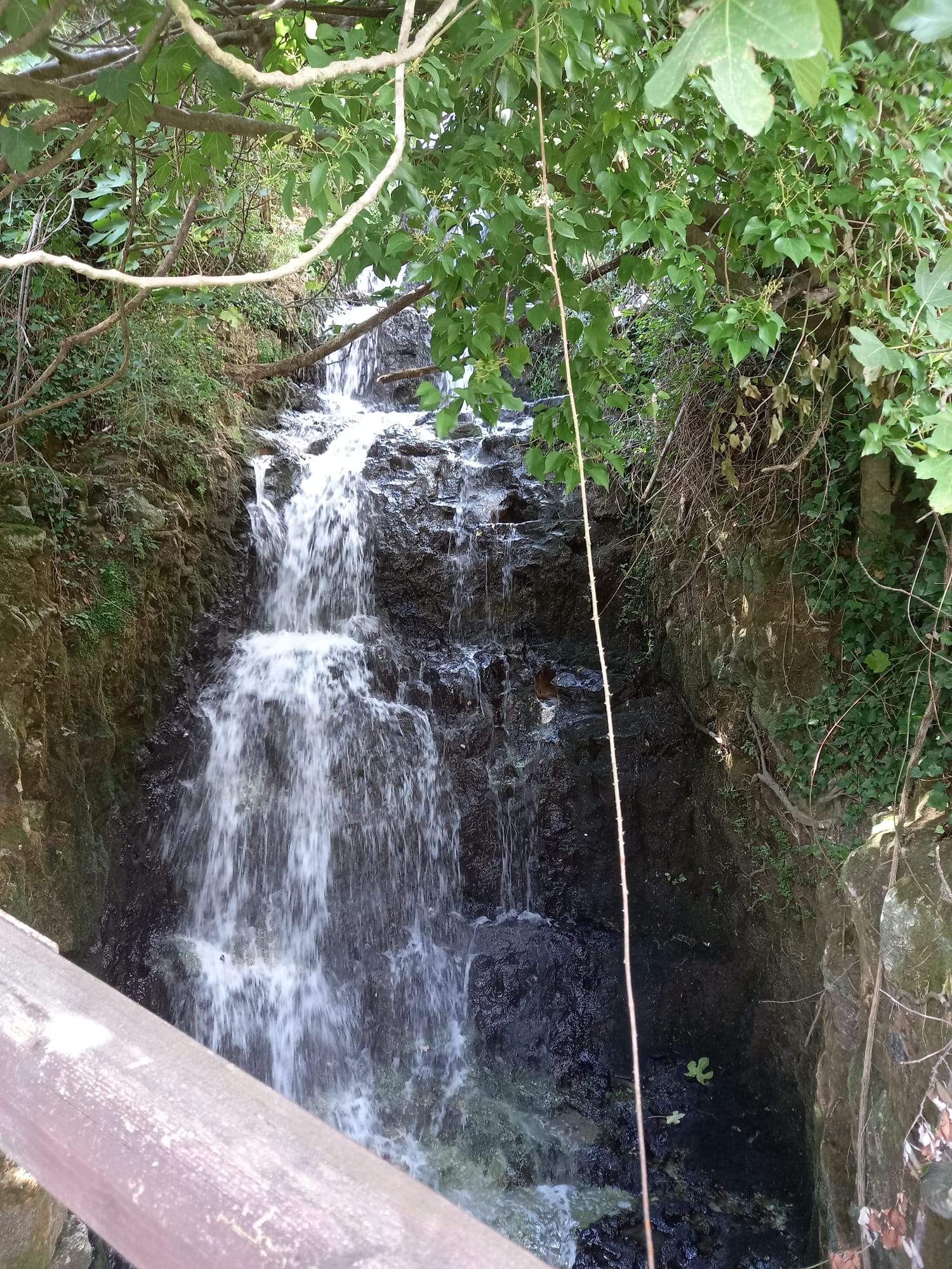 escursione cava san leonardo (7)