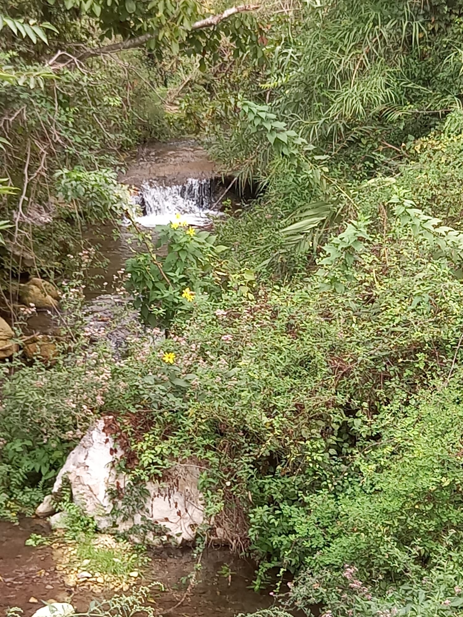 escursione cava san leonardo (8)