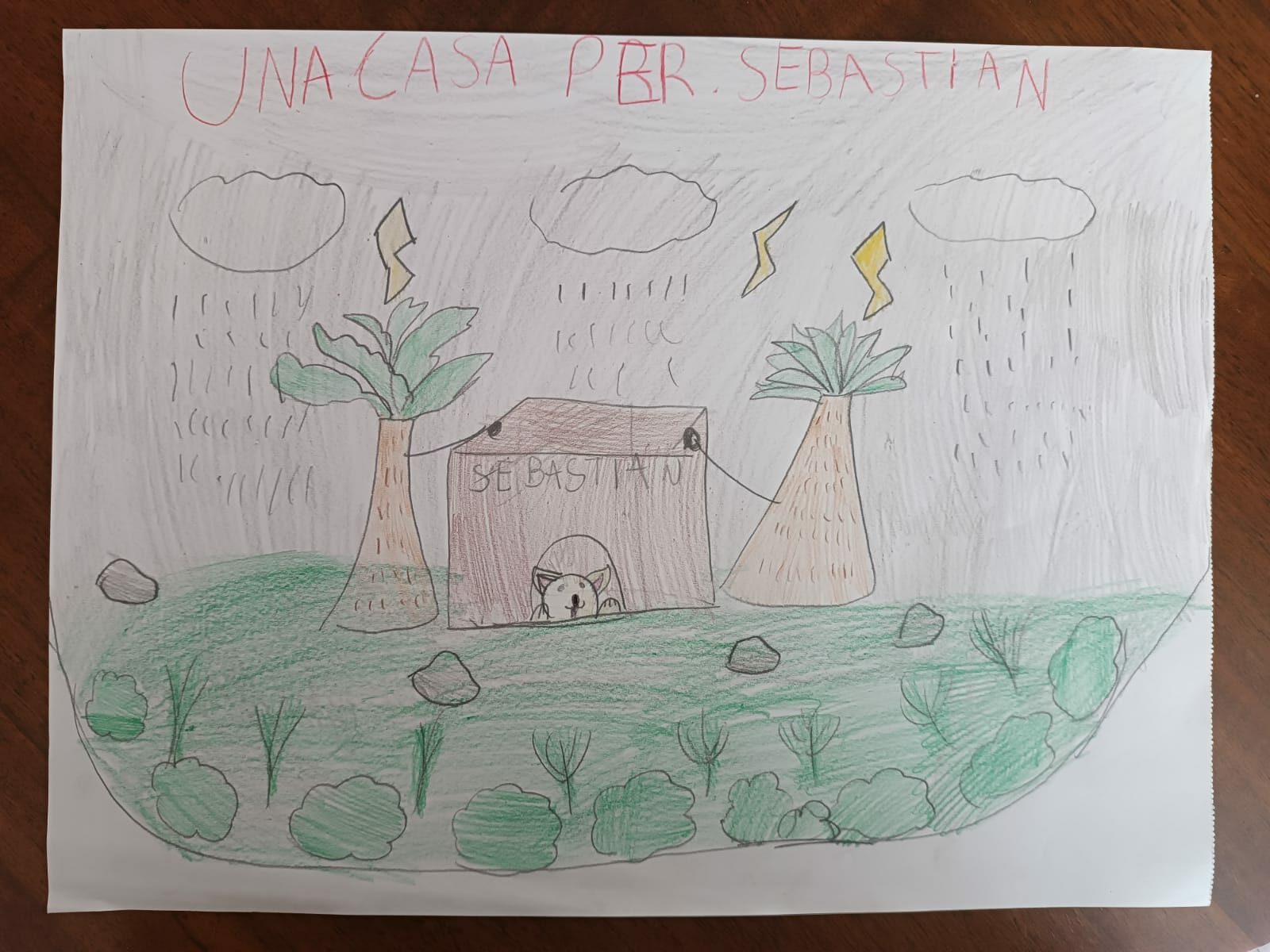 UnaCasaPerSebastian05
