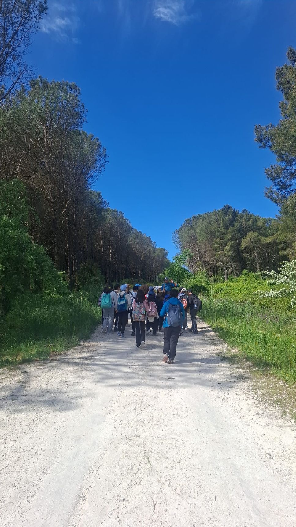Erasmus+ Italy Slovakia (6)